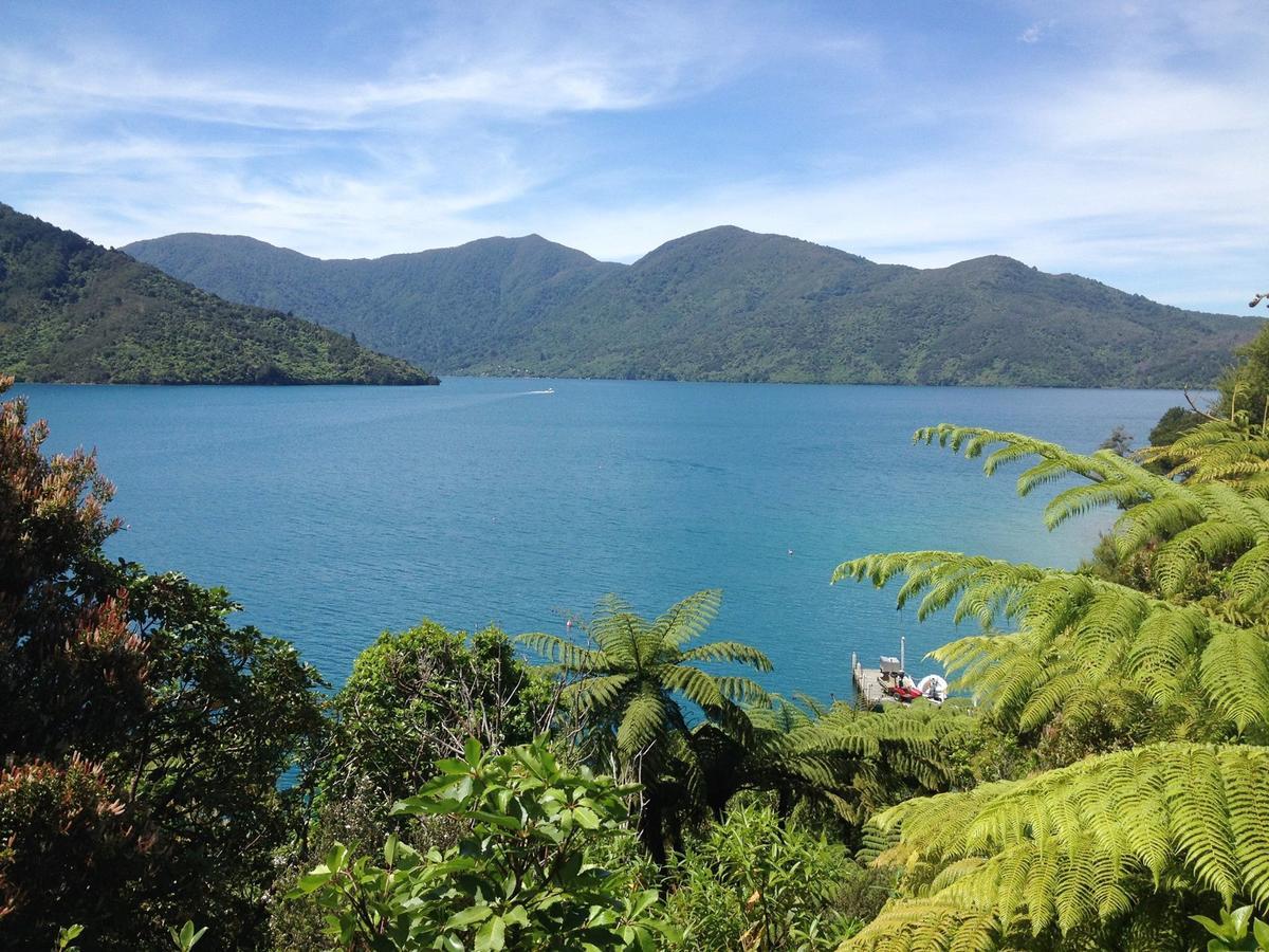 Punga Cove Resort Endeavour Inlet Exteriér fotografie